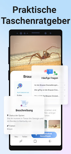 Picture Insect - Insekten ID Screenshot