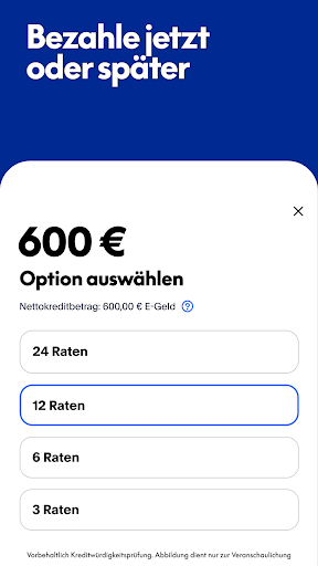 PayPal Screenshot