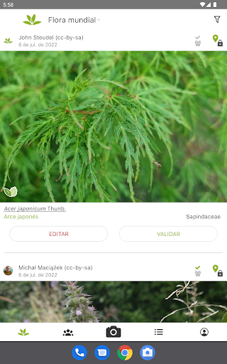 Captura de pantalla de PlantNet Identifica Plantas