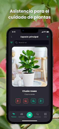 Captura de pantalla de PlantIn: Cuidado de plantas