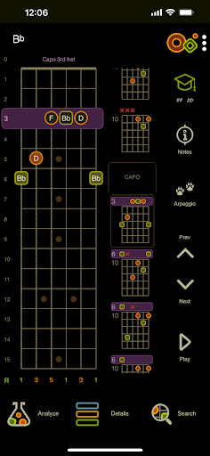 Captura de pantalla de Oolimo Guitar Chords