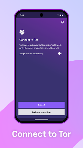 Captura de pantalla de Tor Browser