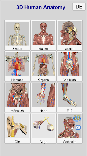 Captura de pantalla de 3D Anatomy