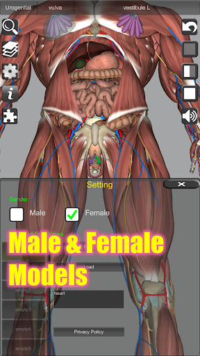 Captura de pantalla de 3D Anatomy