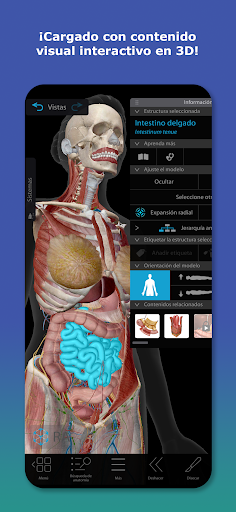 Captura de pantalla de Atlas de anatomía humana 2026