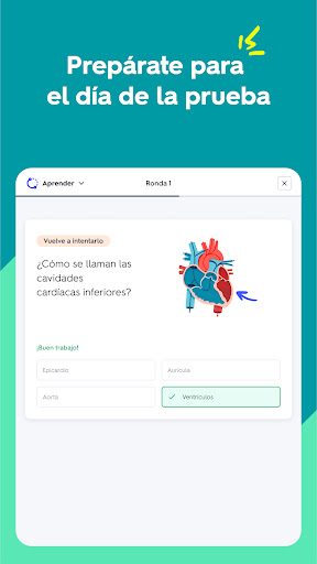 Captura de pantalla de Quizlet: fichas creadas con IA