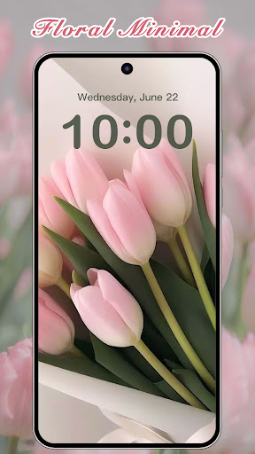 Captura de pantalla de ThemeKit - Themes & Widgets