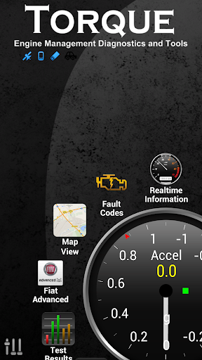 Captura de pantalla de Torque Pro (OBD2 / coche)