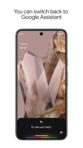 Google Assistant screenshot