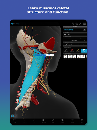 Human Anatomy Atlas 2026 screenshot