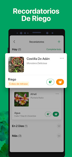 Captura de pantalla de PictureThis Identificar Planta