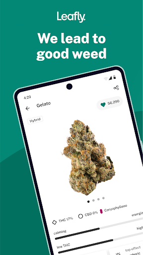 Captura de pantalla de Leafly: Find Cannabis and CBD