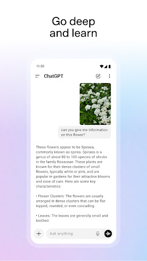 ChatGPT screenshot