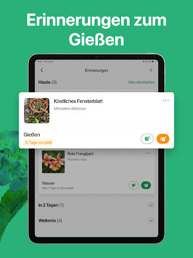 PictureThis:Pflanzen bestimmen Screenshot