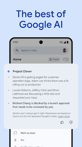 Google Chat screenshot