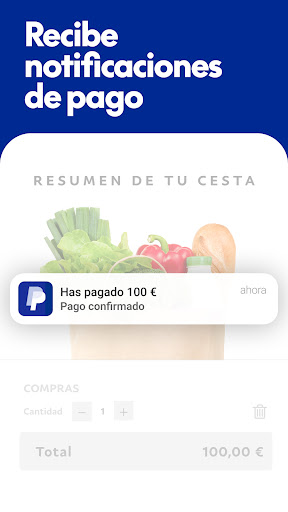 Captura de pantalla de PayPal