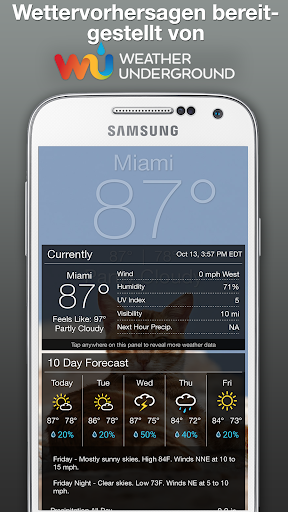 Weather Kitty Screenshot