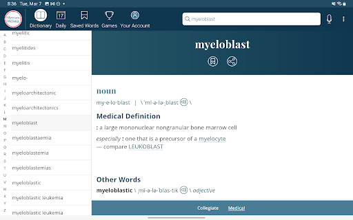 Captura de pantalla de Dictionary - Merriam-Webster