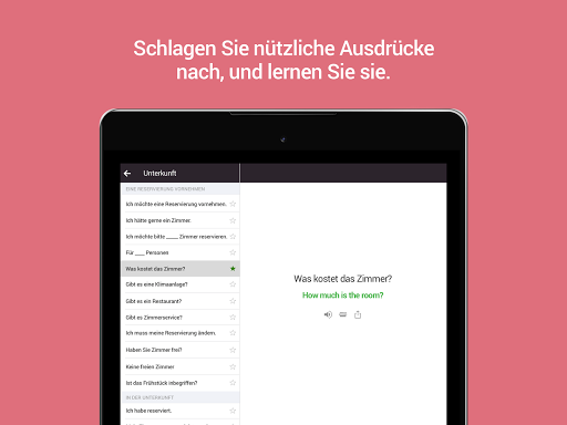 Microsoft Übersetzer Screenshot