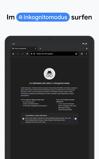 Google Chrome Screenshot
