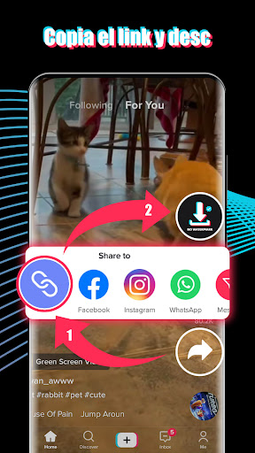 Captura de pantalla de Descargador sin marca de agua
