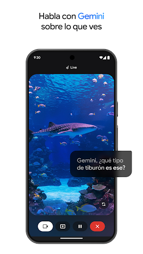 Captura de pantalla de Google Gemini