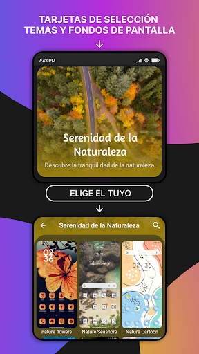 Captura de pantalla de Temas