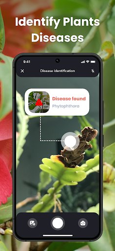 PlantIn Plant Identifier, Care screenshot