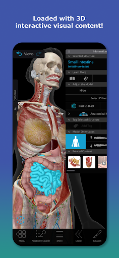 Human Anatomy Atlas 2026 screenshot