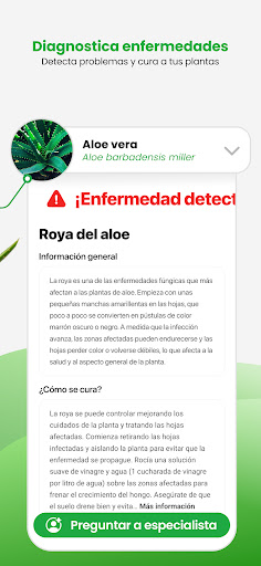 Captura de pantalla de PlantApp: Identifica plantas