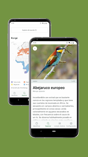 Captura de pantalla de Merlin Bird ID de Cornell Lab