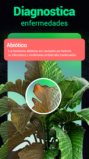 Captura de pantalla de Plantum - Identificar plantas