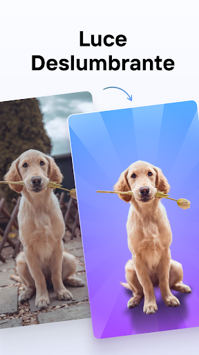 Captura de pantalla de Photoroom: Editor de Fotos