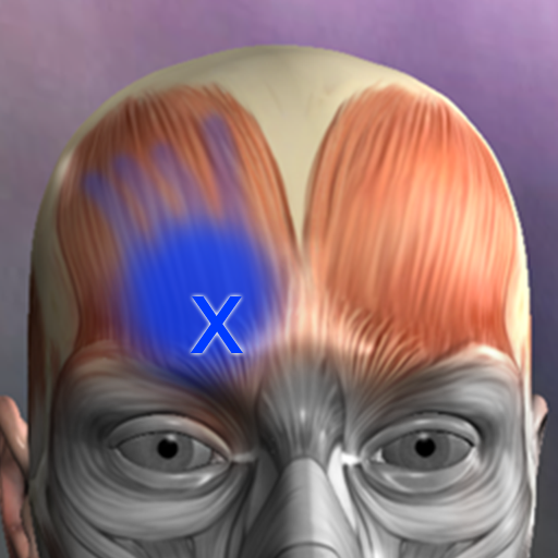 Icono de Puntos Musculares Anatomia