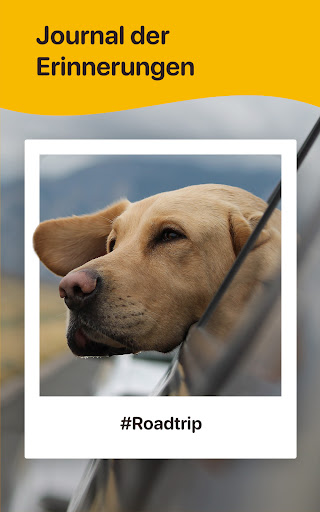 Woofz - Smartes Hundetraining Screenshot