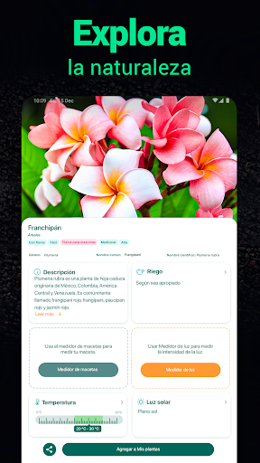 Captura de pantalla de Plantum - Identificar plantas