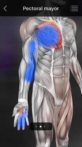 Captura de pantalla de Puntos Musculares Anatomia