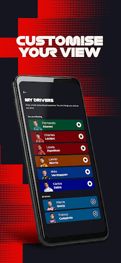Formula 1® screenshot