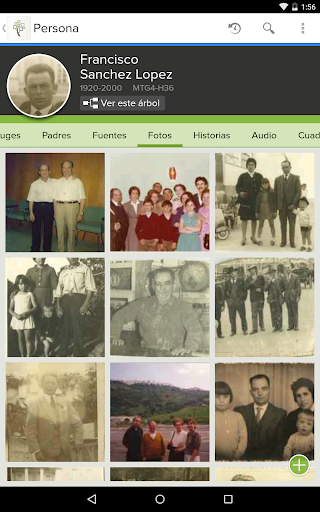 Captura de pantalla de FamilySearch - Árbol