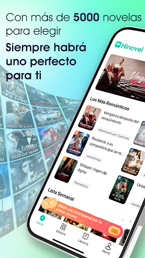 Captura de pantalla de Hinovel