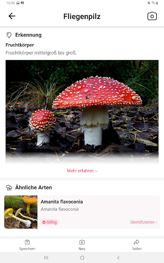 Picture Mushroom - Pilzführer Screenshot