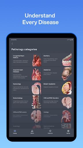 VOKA 3D Anatomy and Physiology screenshot