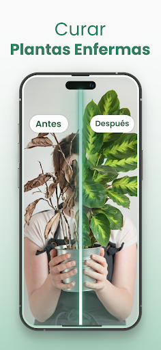 Captura de pantalla de Plantify Identificador Plantas