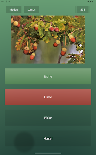 Endlos-Quiz Pro Screenshot