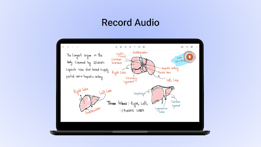 Captura de pantalla de Noteshelf - Notas, Anotaciones