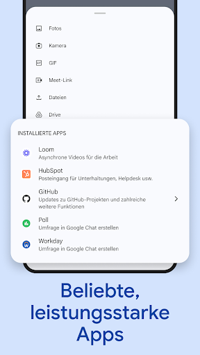 Google Chat Screenshot