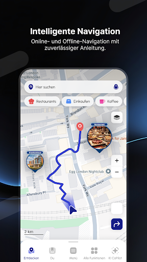 Radar GO-X: HUD, GPS, Karten Screenshot