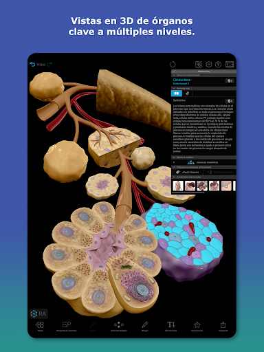 Captura de pantalla de Atlas de anatomía humana 2026