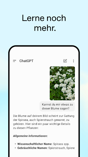 ChatGPT Screenshot