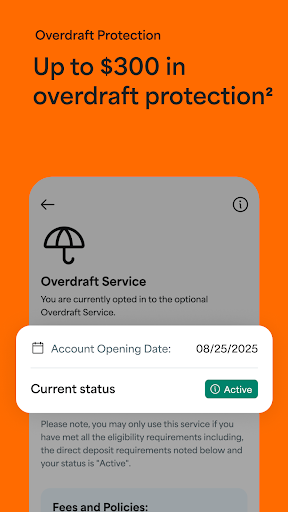 Captura de pantalla de Netspend